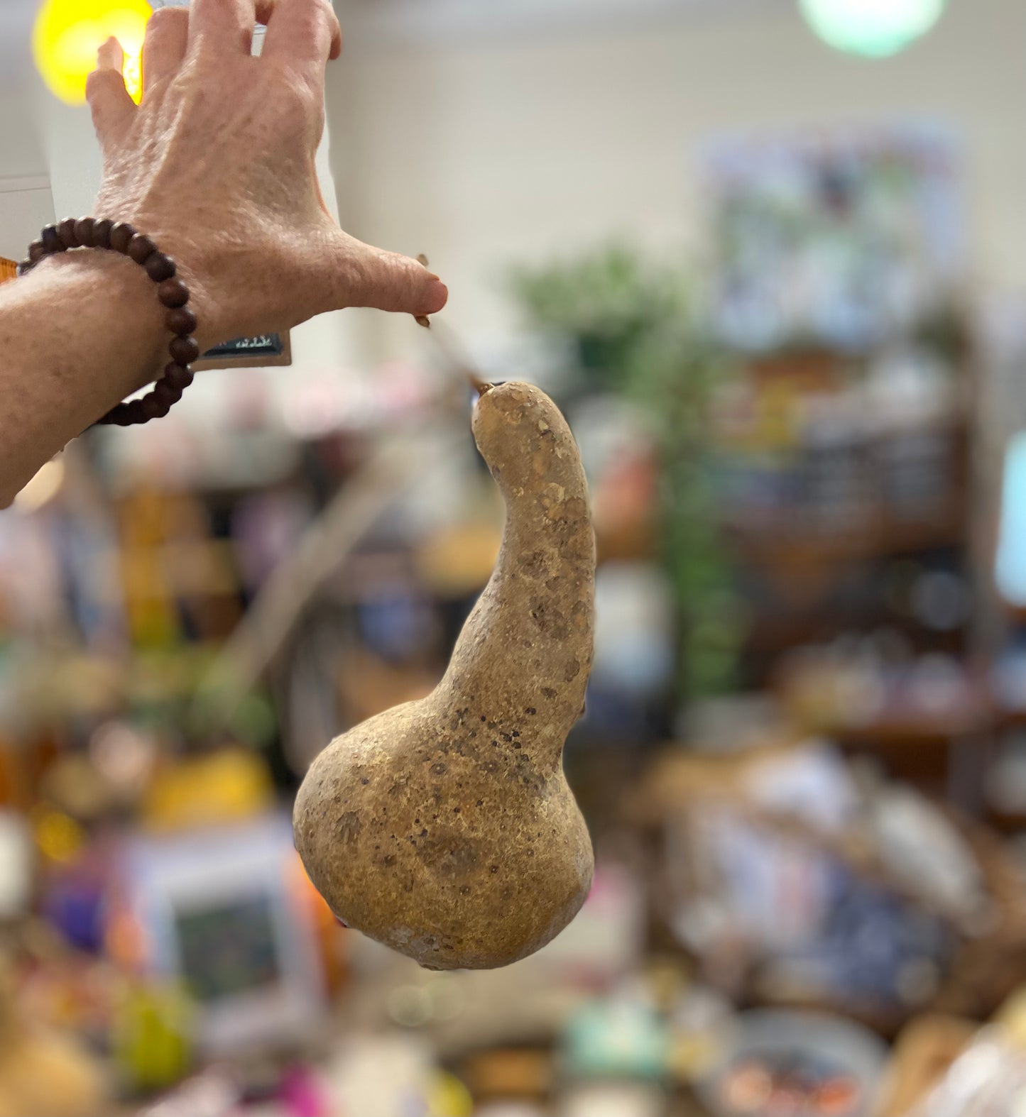 Gourds