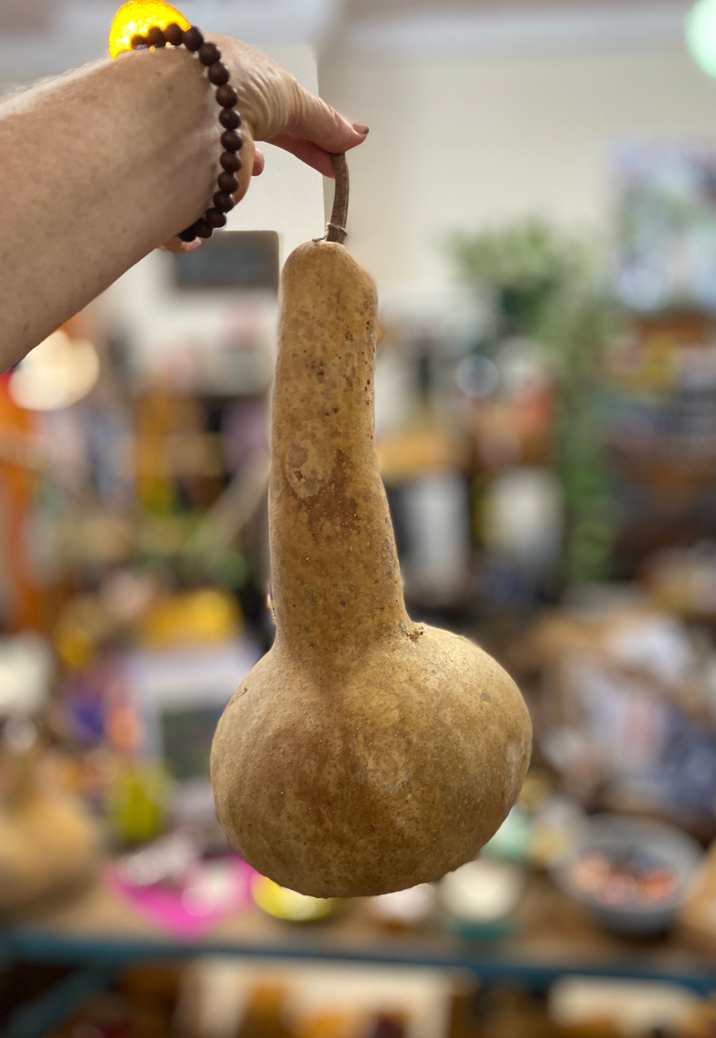 Gourds